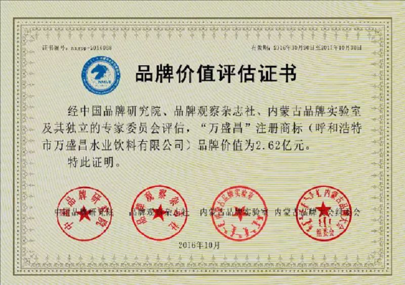 35、2016年價(jià)值2.62億.jpg